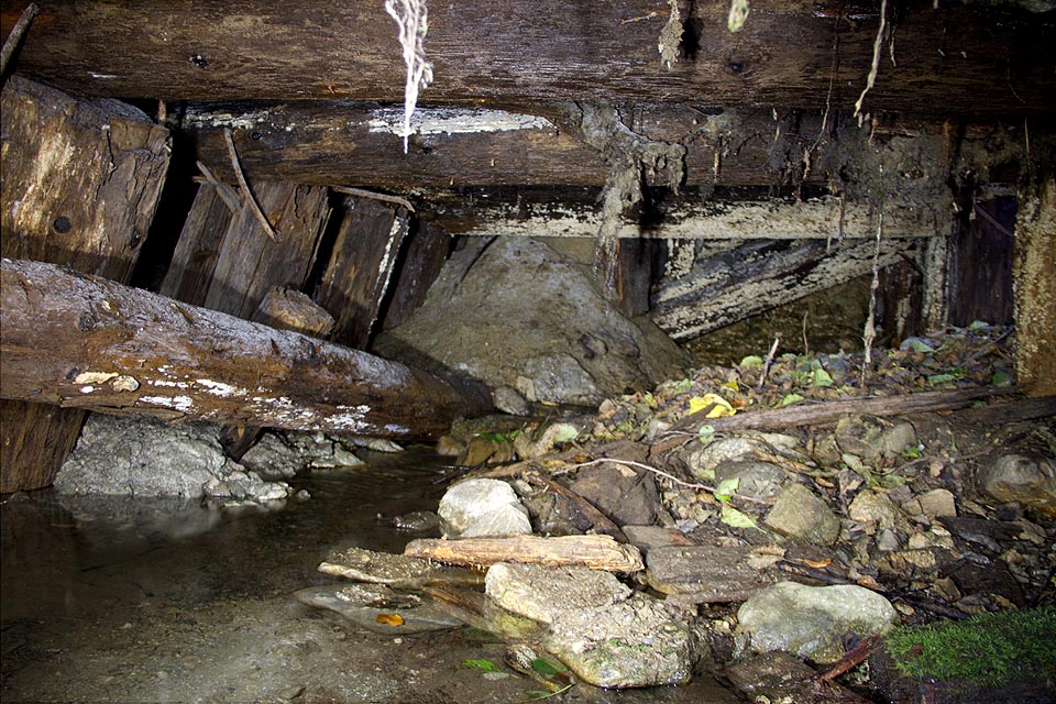 Masivní výdřeva v nedokončeném zářezu před tunelem nevydržela po desetiletí tlak zeminy a sesunula se, čímž znemožnila odtok vody z tunelu pod Dielikom a vytvořila v něm monumentální jezero. Masivní výdřeva v nedokončeném zářezu před tunelem nevydržela po desetiletí tlak zeminy a sesunula se, čímž znemožnila odtok vody z tunelu pod Dielikom a vytvořila v něm monumentální jezero.