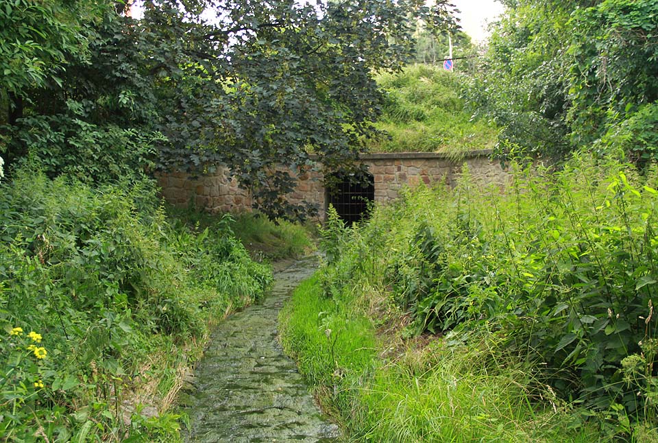 Zajímavější je protilehlý jižní portál bezejmenného potoka přitékajícího podzemím od Miřejovic, který slibuje také zajímavou podzemní cestu až na kraj města.