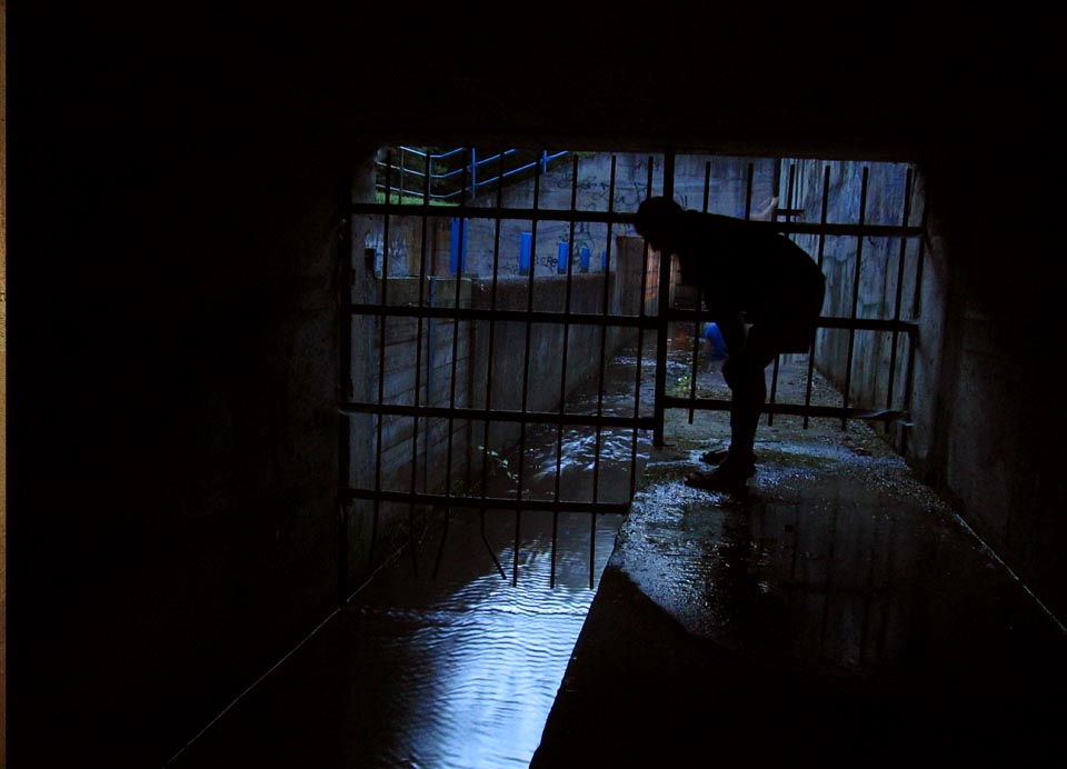 Dřív, než se stihneme pod královopolským nádražím podsoukat pod mříží na světlo světa, přichází tma.