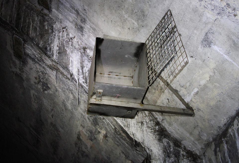 Jaký to ptáček měl hnízdo v otevřené kleci? Marně si lámeme hlavu a vzpomínáme na důlní kanárky a Galibertovy přístroje.