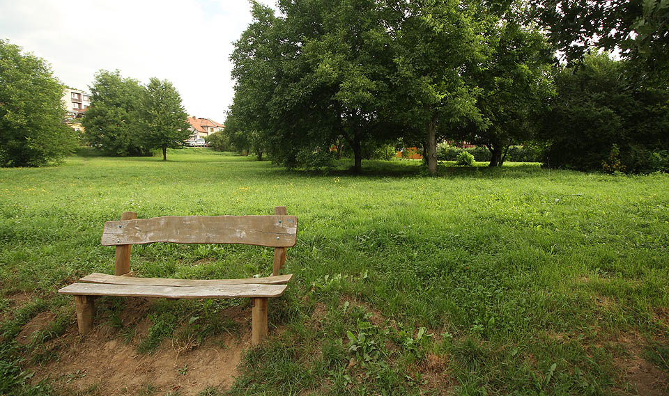 Lavička na kraji parku mezi Přehradní ulicí a řekou se nachází jen pár metrů od sadu, na jehož místě měly stát usazovací nádrže pro odpadní vodu z čištění vody pitné.