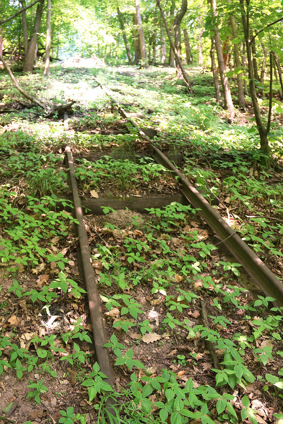 Úzkokolejka nad Adamovem vede poměrně strmým svahem se sklonem místy překonávajícím 500 ‰.