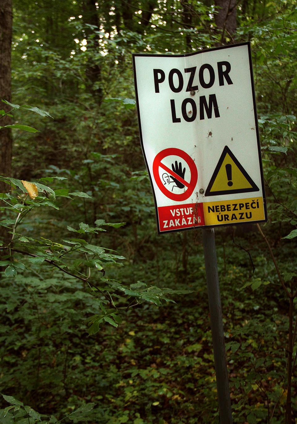 Pozor lom! V Bohdíkově se těží i v roce 2014.