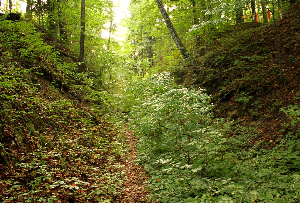 Zářez, kterým úzkokolejka pravděpodobně v jedné ze svých větví také vedla. Tunel nahrazoval tuto část trasy.