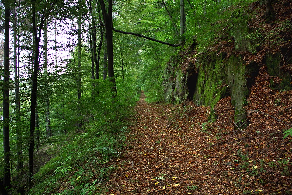 Místy trasa úzkokolejky vedla divokým terénem.