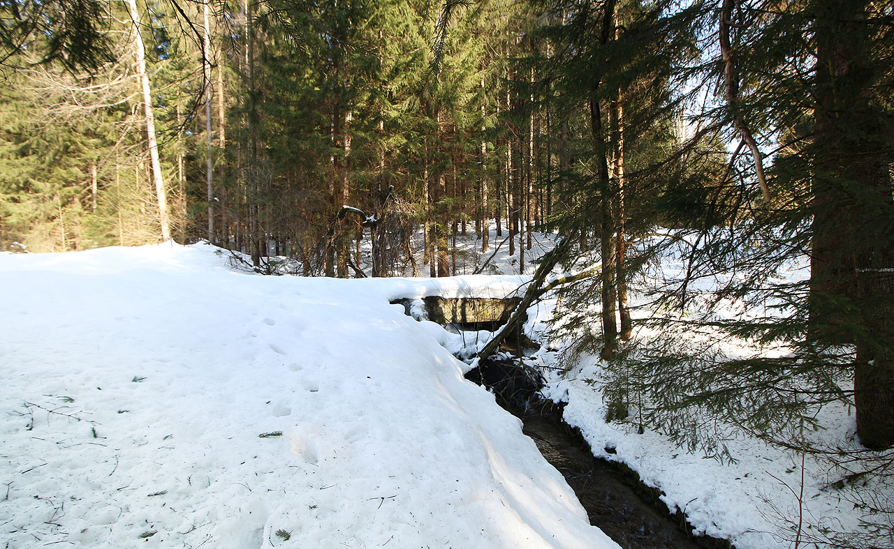 Pohled proti proudu bezejmenného ptoka na betonový mostek lesní cesty. Je docela dobře možné, že jde o původní most lesní úzkokolejky.