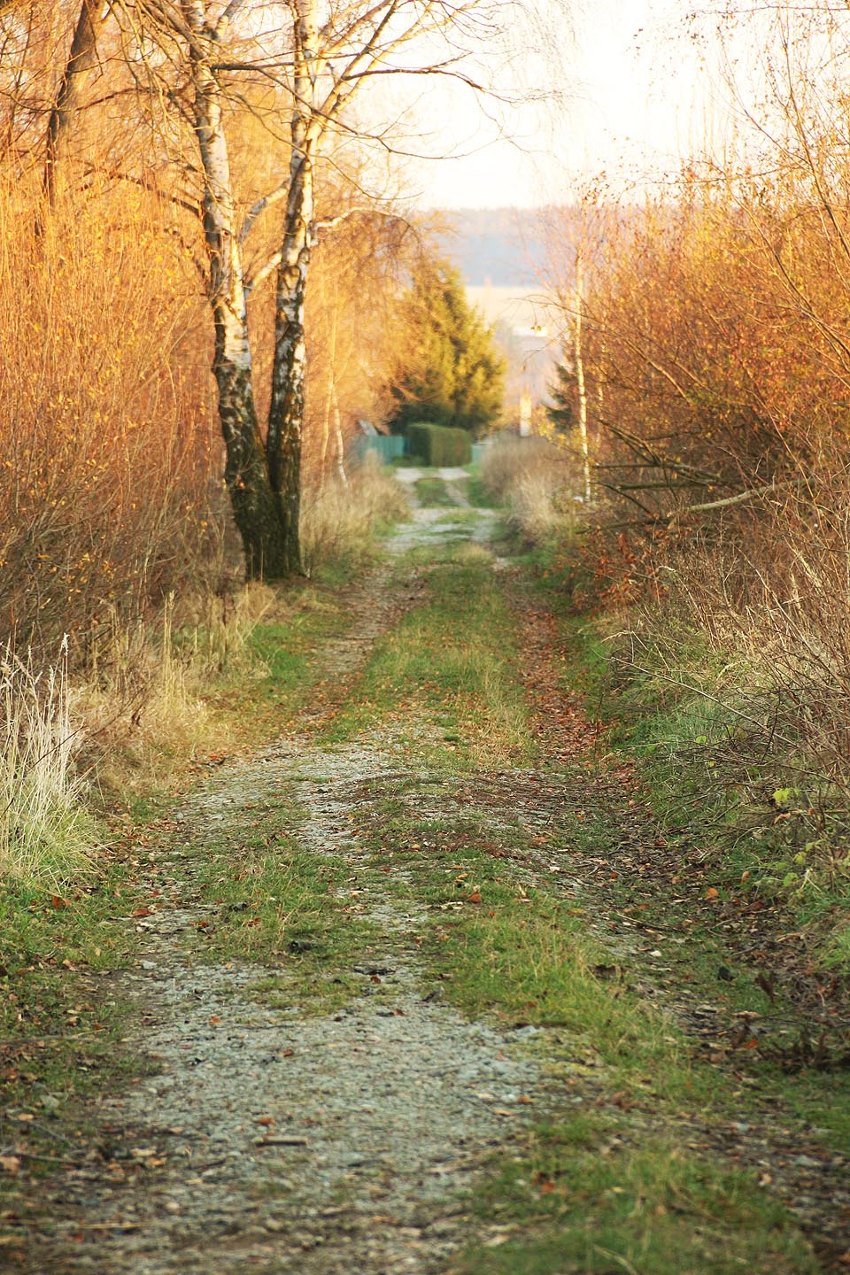 Pohled zpátky na horní část trati podél rybníků pod Matulovým lomem.
