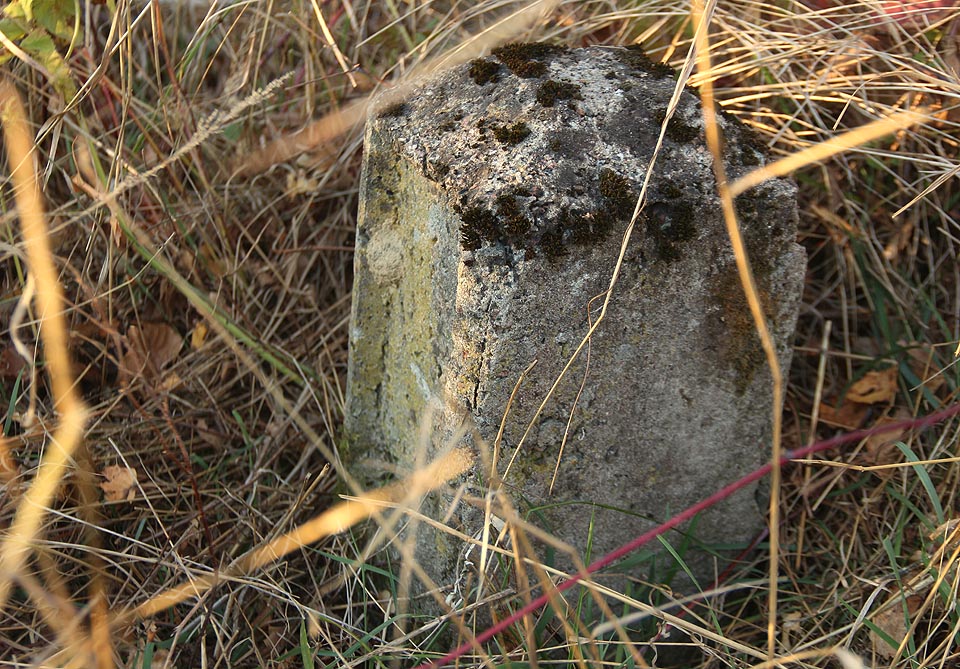 Patníky zarostlé v houští svědčí o tom, že vlečka měla vlastní kilometráž, celkem ale její délka nepřekročila 200 m.