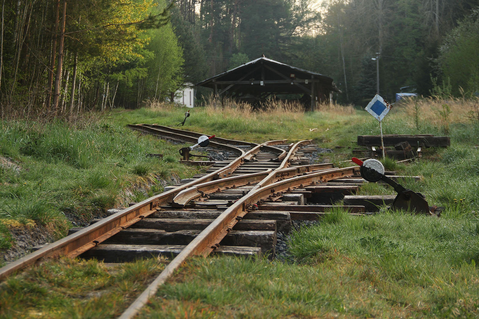 Úzkokolejky v okolí Skalné