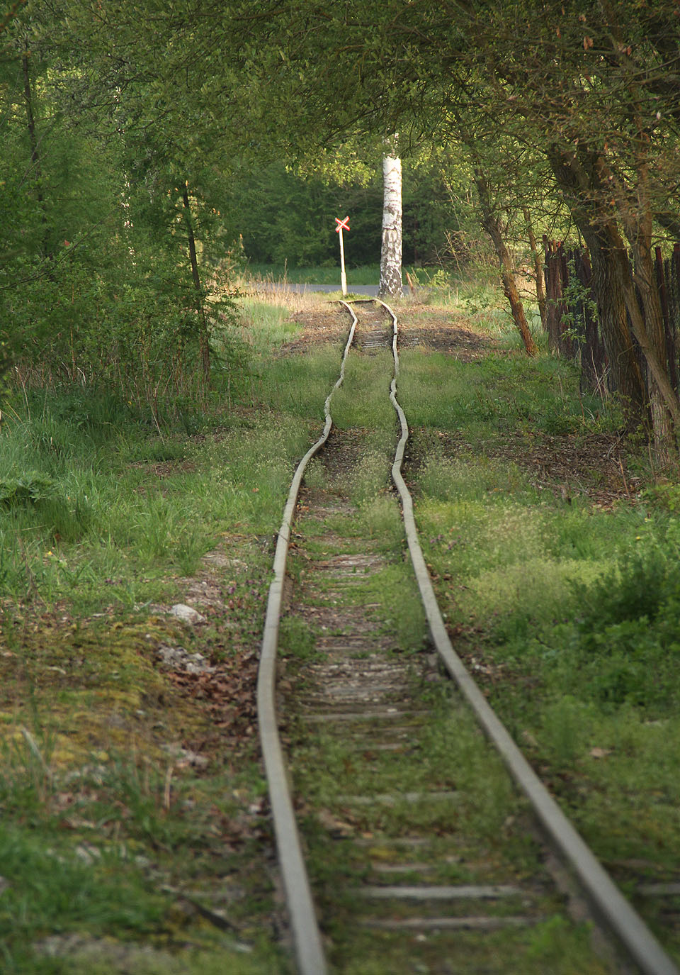 Dál pokračuje drážka směrem, který by se s určitou dávkou optimizmu dal nazvat přímým, podél silničky a  západní hranice rozlehlého rašeliniště Soos.