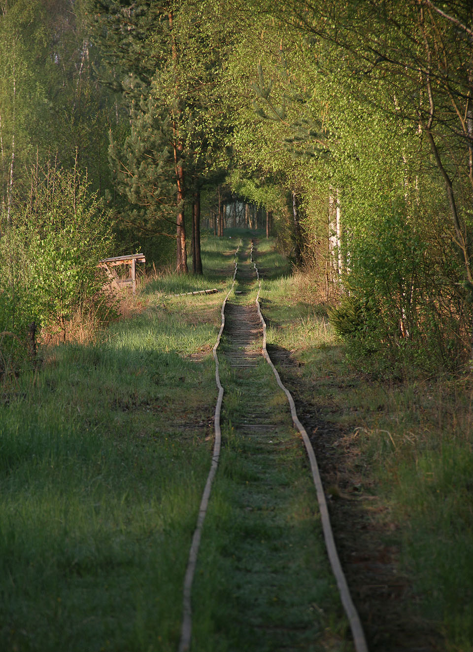 Exkurzní trasa po hatích vybudovaných v rašeliništi mezi gejzíry a bahenními sopkami začíná doslova na kolejích.