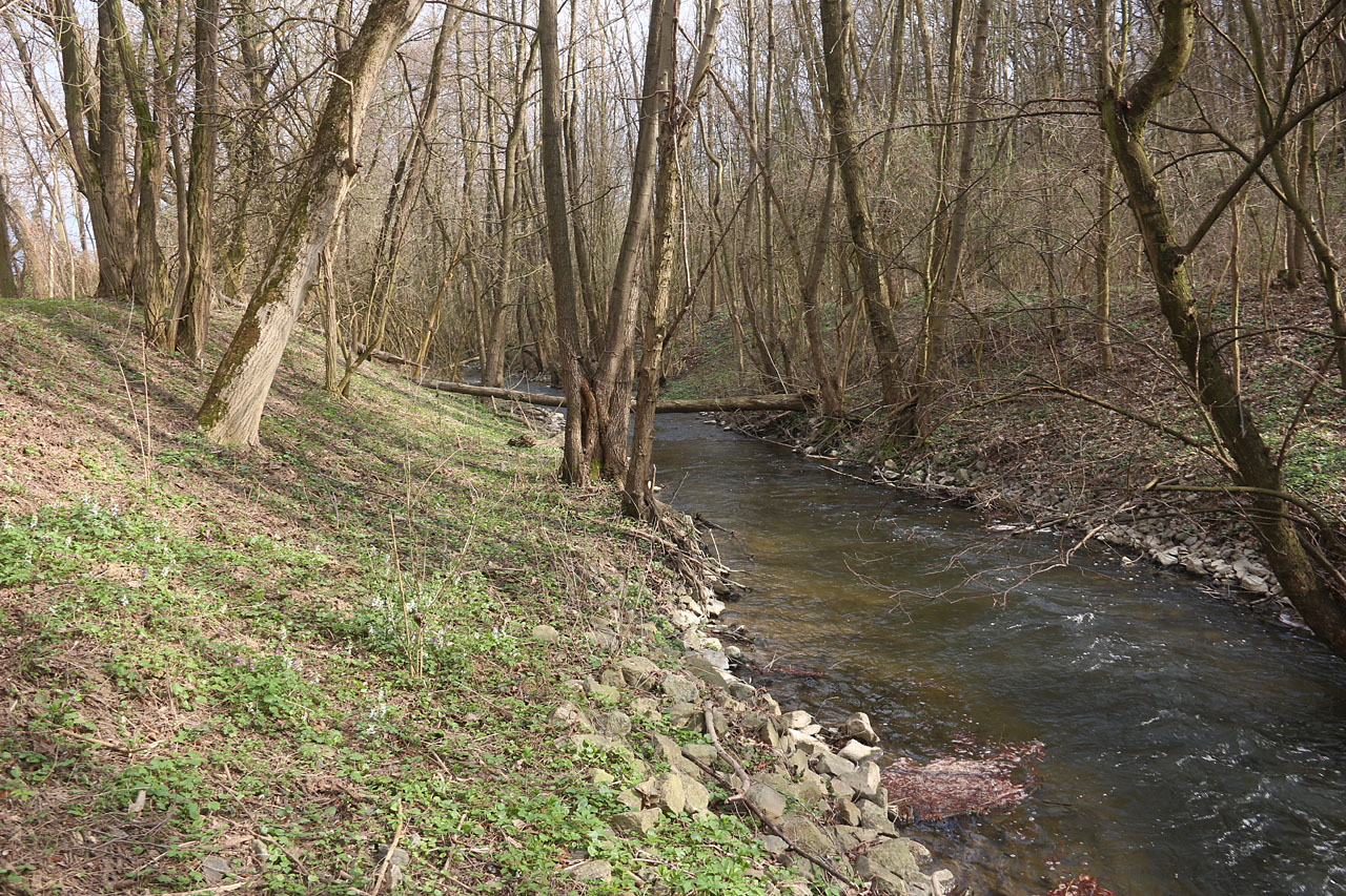 Přibližně v tomto místě křížila úzkokolejka po mostě poprvé Bobravu. Po válce došlo zřejmě v souvislosti s plánem na výstavbu obchvatu Želešic (který ani v roce 2021 stále nestojí) k regulaci a napřímení toku, proto je dnes obtížné odhadnout, kde přesně most stál.