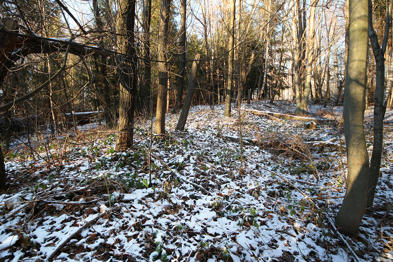 V horní části trati je patrný i nevysoký násep úzkorozchodky.