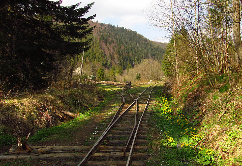 Poválečné lesní dráhy u Вигоди
