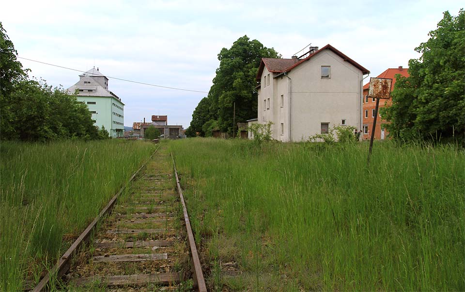 Zarostlé kolejiště starého nádraží ve Velkém Meziříčí v roce 2015.