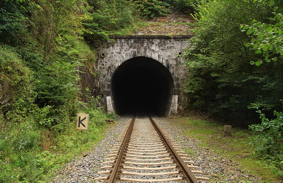 Pohled od jihu - portál tunelu se nachází na nepřístupné rampě ve strmém svahu nad nádraží Plasy. Nad vodní hladinou a ve stínu skal u ústí tunelu se drží chlad i v nejteplejším létě.