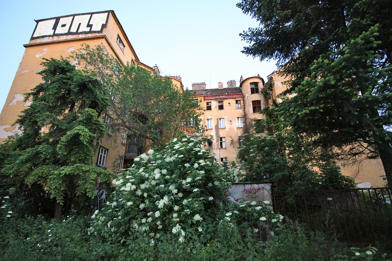 V roce 2019 byl dům již několik let zcela opuštěný a jeho bizarní dispozice vzniklá slepením nesourodých částí propojených chodbami, průchody a schodišti, působila jako tajemný hrad ukrytý v lesích.