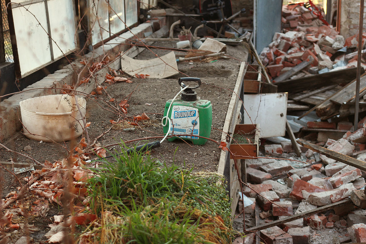 Hlavní složkou oblíbeného pesticidu Roundupu je glyfosát, látka o jejíž karcinogenitě panují opodstatněná podezření (skupina karcinogenů 2A).