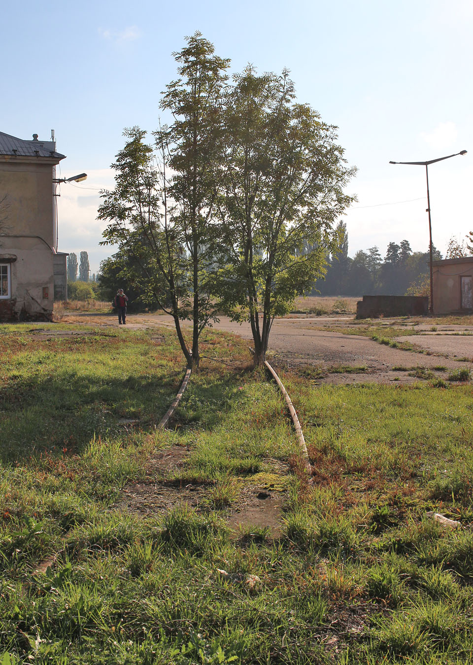 O rok a půl vyšší pajasany na poslední koleji cukrovarské vlečky v Českém Brodě.
