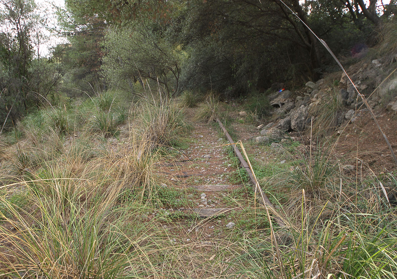 Ještě asi sto metrů jsou koleje vysledovatelné v trávě a houští.