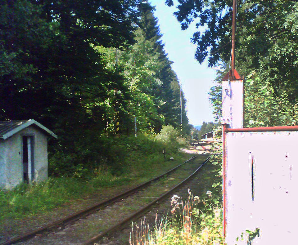 Tak vypadal domeček pro strážného ještě v roce 2005. I když už se tu už pár let nejezdí, koleje se zatím lesknou a výhybky nejsou rozkradené.
