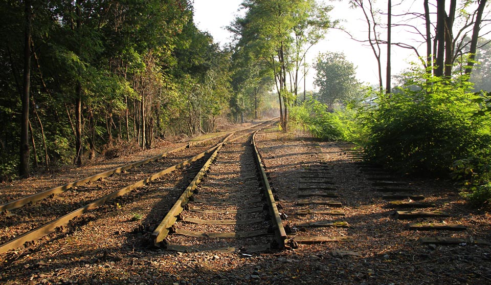 Pohled k severovýchodu, z posledních metrů zrušené vlečky. Podle krajiny typu australské buše by málokdo poznal, že stojíme uprostřed Prahy.