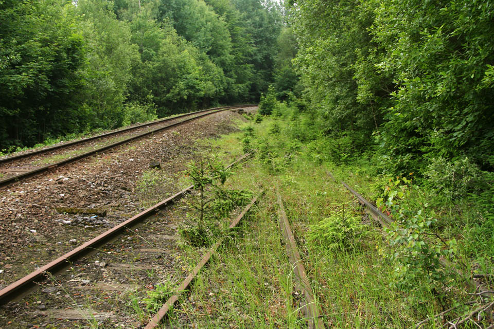 Pohled od severozápadu na spojovací kolej a kolej vedoucí k nakládací rampě na severozápadě.
