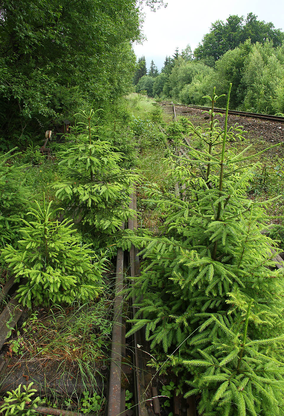 Kromě výhybky K1 se na vlečce nacházela už poouze jediná křižovatková neboli anglická výhybka, ze které vycházely tři samostatné koleje.