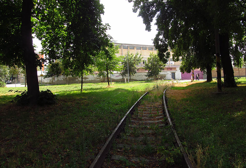 Kolej vedoucí parkovým trávníkem pod statnými lípami jsou jako zjvení z jiného světa. Dokonalé spojení industriálu, města a přírody na jediném místě.