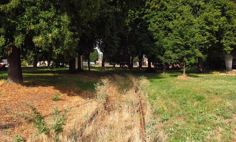 Přestože je park udržovaný, zarůstají koleje několikrát do roka zelení. Vlaky zde dojezdily už před léty, koleje jsou ale ozdobou industriální čtvrti na břehu Svitavy.