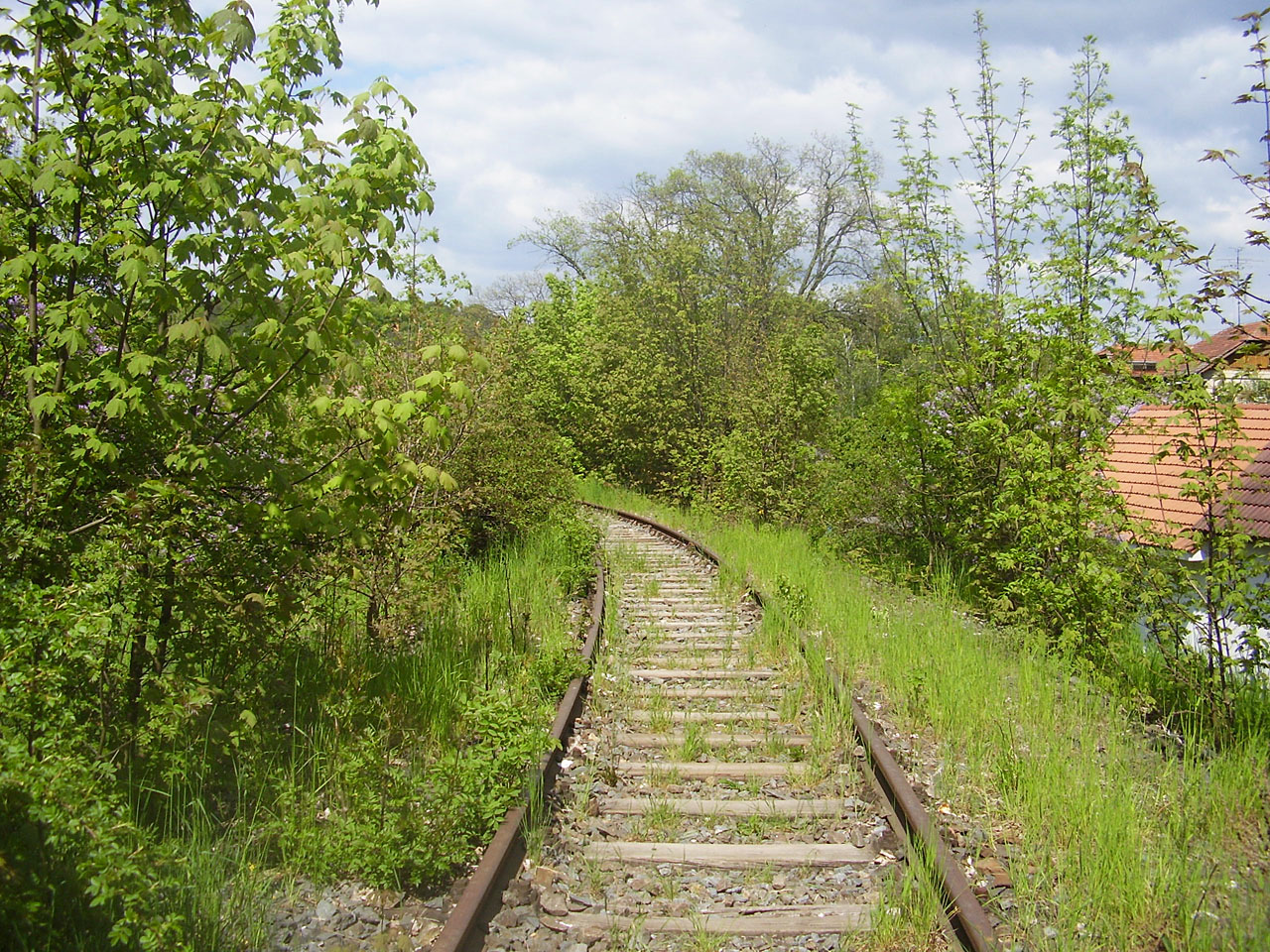 Pohled zpět ke stanici Zastávka u Brna. Romanticky zarůstajícím kolejím už zbývá jen pár měsíců života, od roku 2009 započne ve stejné trase budování úzkokolejky o rozchodu 600 mm.