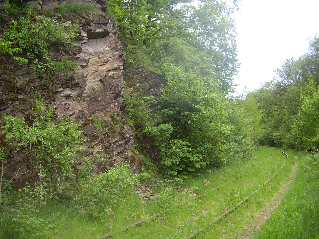 Jedním z nejromantičtějších úseků na vlečce byl zárub ve skále pod Zelenou ulicí.