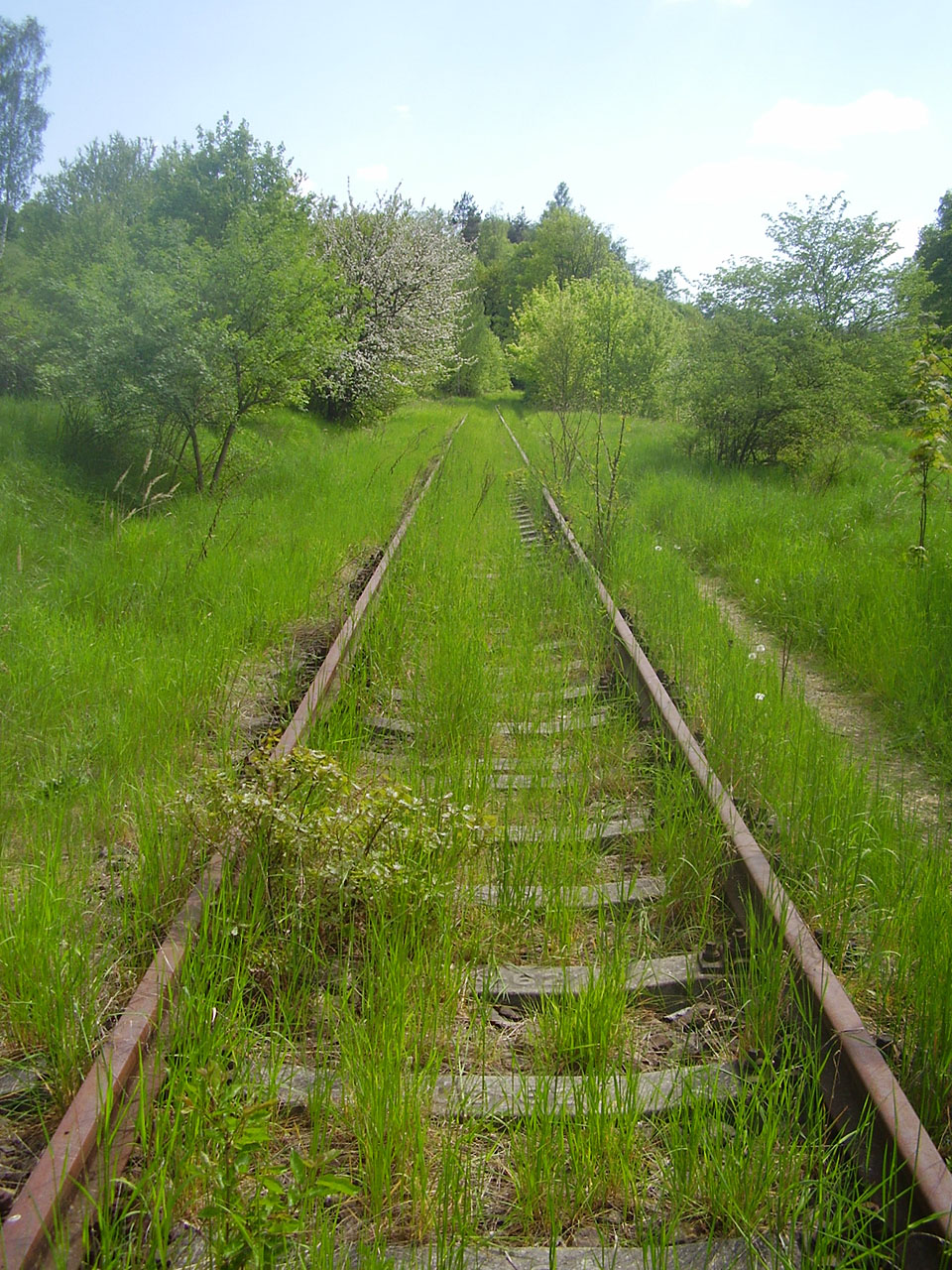 Následuje takřka 2 km dlouhý a téměř přímý úsek okolo Babic až do sedla nad Zbýšovem.