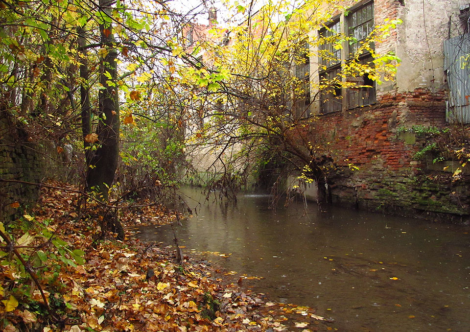 Vlněna je nesmírně zajímavá. Třešinkou na dortu je ale Svitavský náhon, který protéká za jejími zády na své několikakilometrové pouti ze Svitavy do Svratky. Vlněna je nesmírně zajímavá. Třešinkou na dortu je ale Svitavský náhon, který protéká za jejími zády na své několikakilometrové pouti ze Svitavy do Svratky.