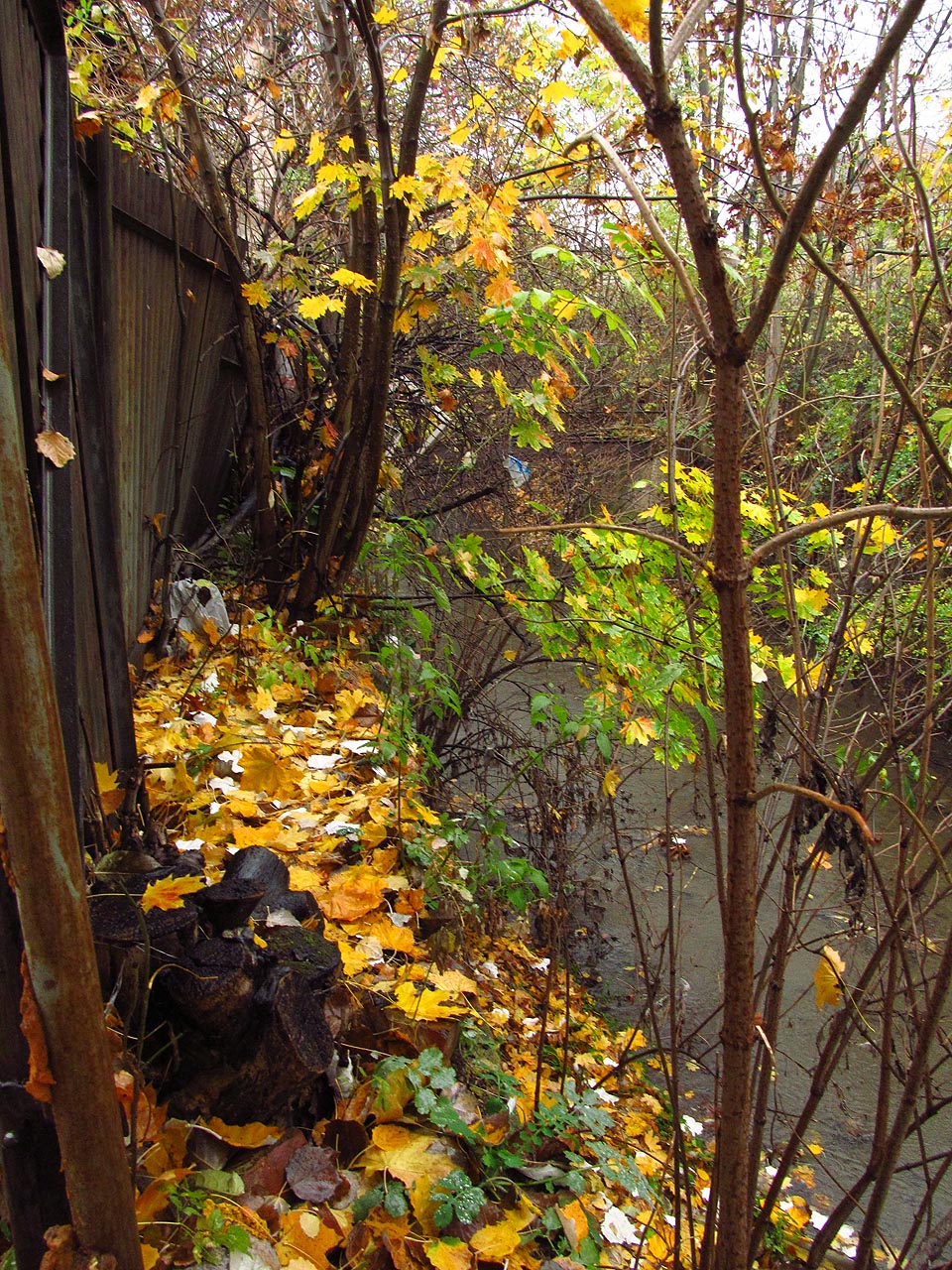 Cesta po břehu záhy končí, bude nutné to tady prozkoumat na lodi.