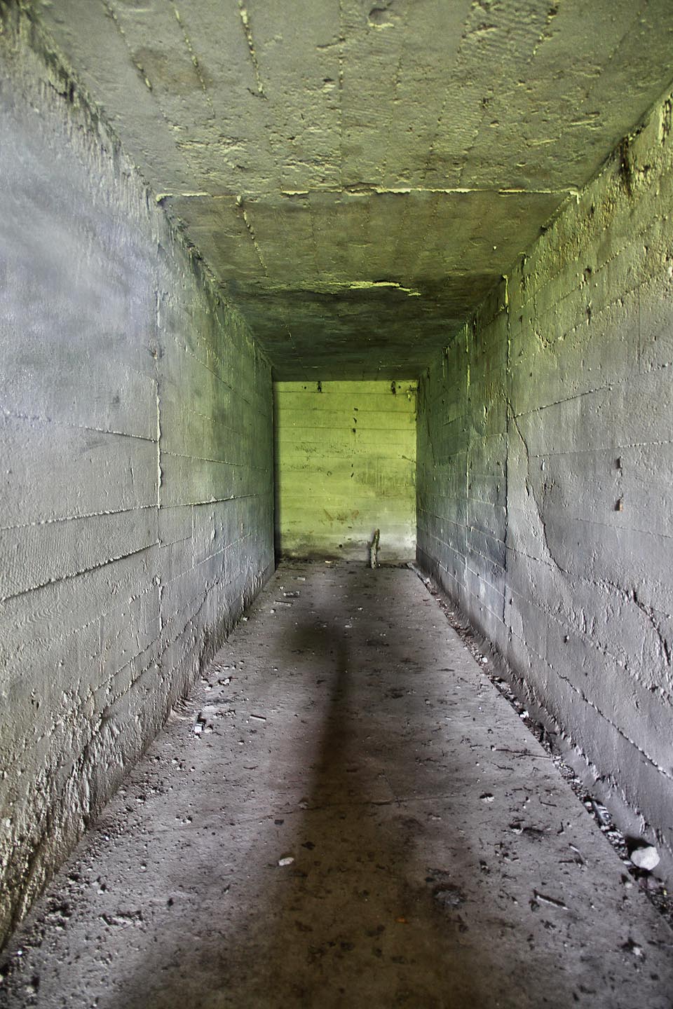 Vstupní chodba do šoupátkové komory vodojemu se ukrývá v hustém křoví. Díky tomu je obtížné ji najít i vyfotit. Uvnitř panuje zelenavý přísvit.