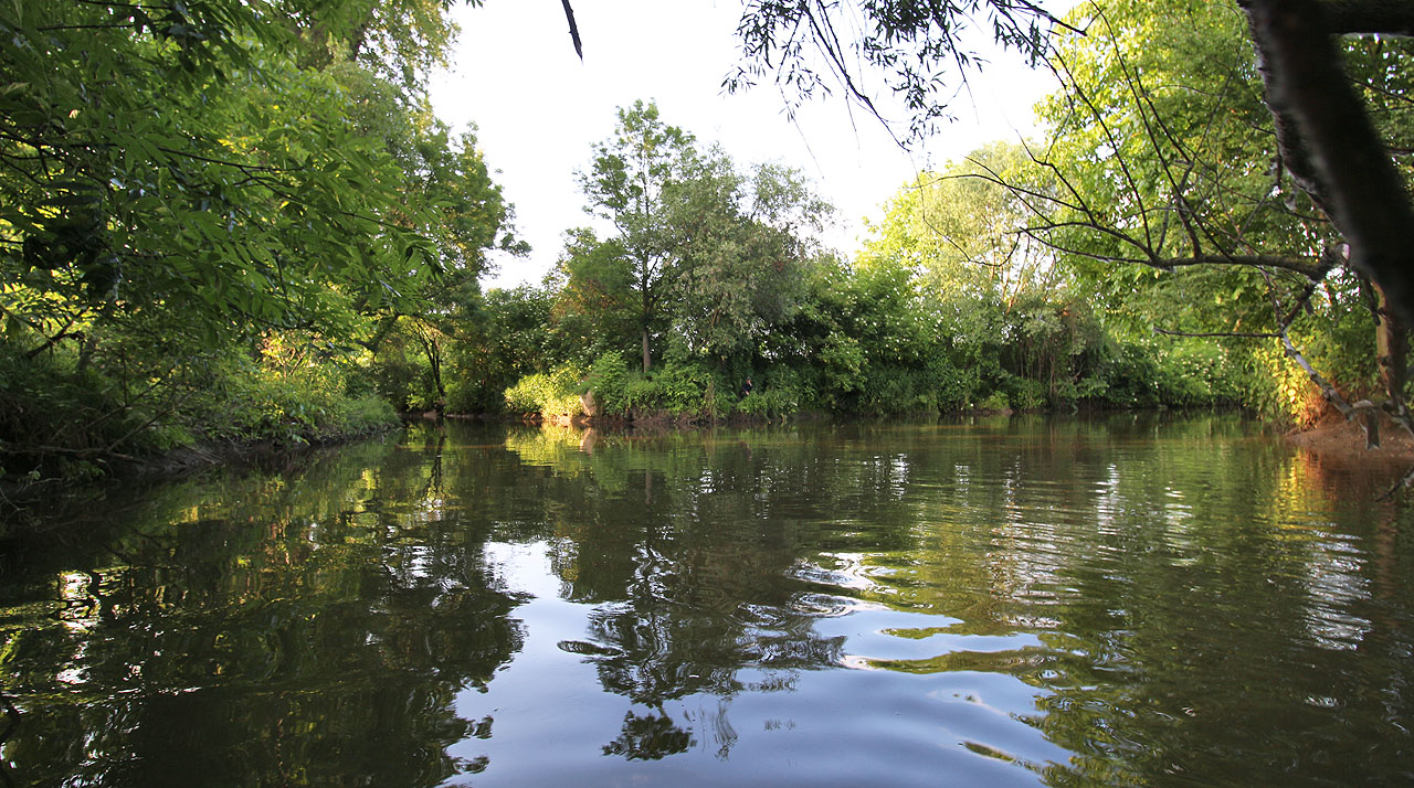 Soutok Rajhradského (vlevo) a Vojkovického (vpravo) náhonu v Rajhradě, východně od nádraží za ulicí Ostrůvkem. Dvě ramena původní Svratky se zde spojují, aby voda z nich dále proudila k jihu bez povšimnutí většiny současníků. Samotná Svratka totiž po regulaci od roku 1848 proudí úplně jiným korytem.