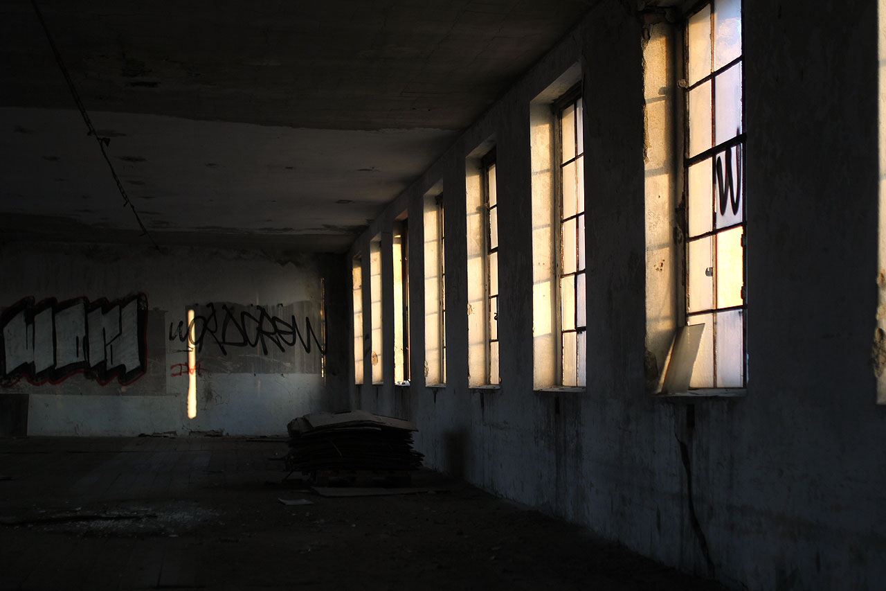 Na doposud šedivých okenních tabulkách se rozzáří letité vrstvy prachu a pavoučí sítě náhle žhnou jako vlákna abstraktních žárovek.