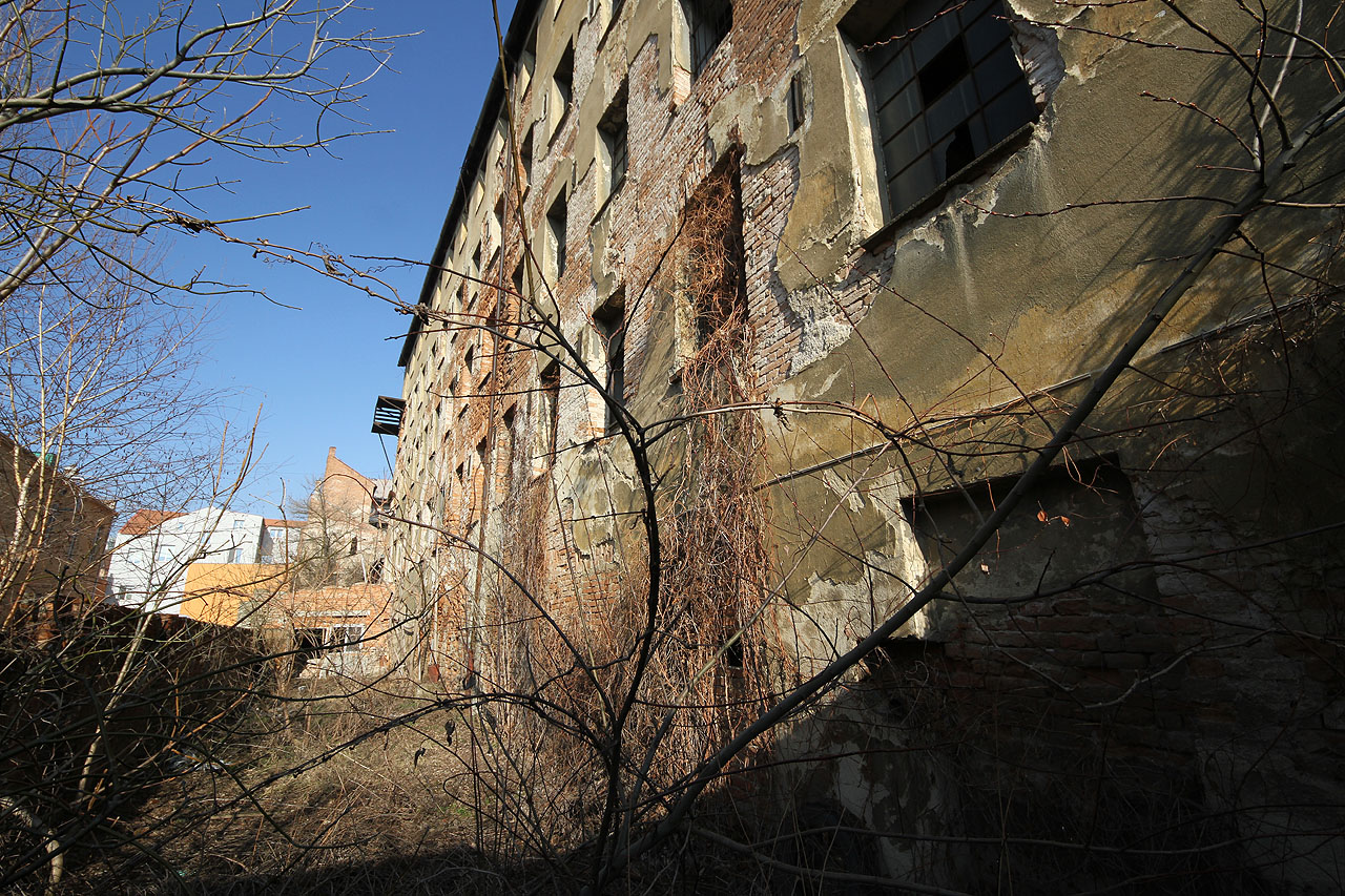Úžasná oázka divočiny uprostřed nejstaršího z továrních předměstí Brna očekává svůj osud, protože se nachází na trase předpokládaného nového bulváru mezi odsunutým nádražím a Lužánkami.