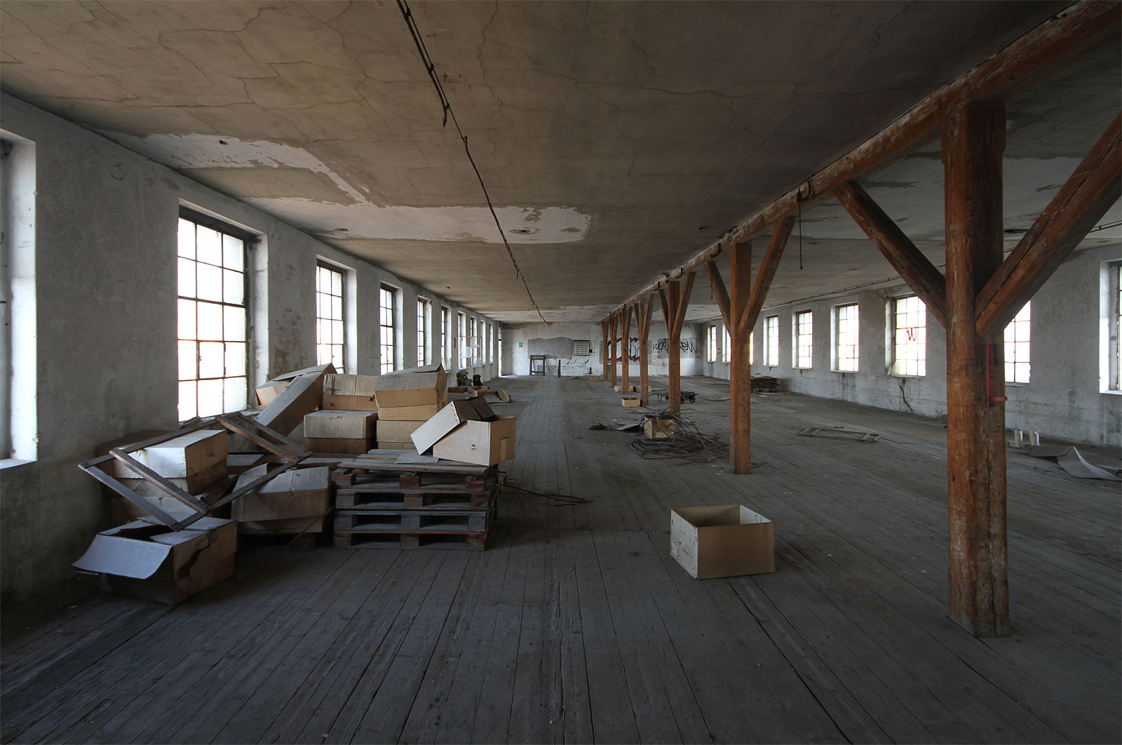 Ale teď již zpátky do prosluněné budovy.