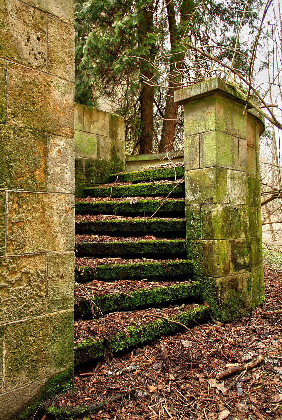 Když jsem vstoupil na první schod, uslyšel jsem syčení. Předsunutí průzkumníci mě volají, cesta vede jinudy.