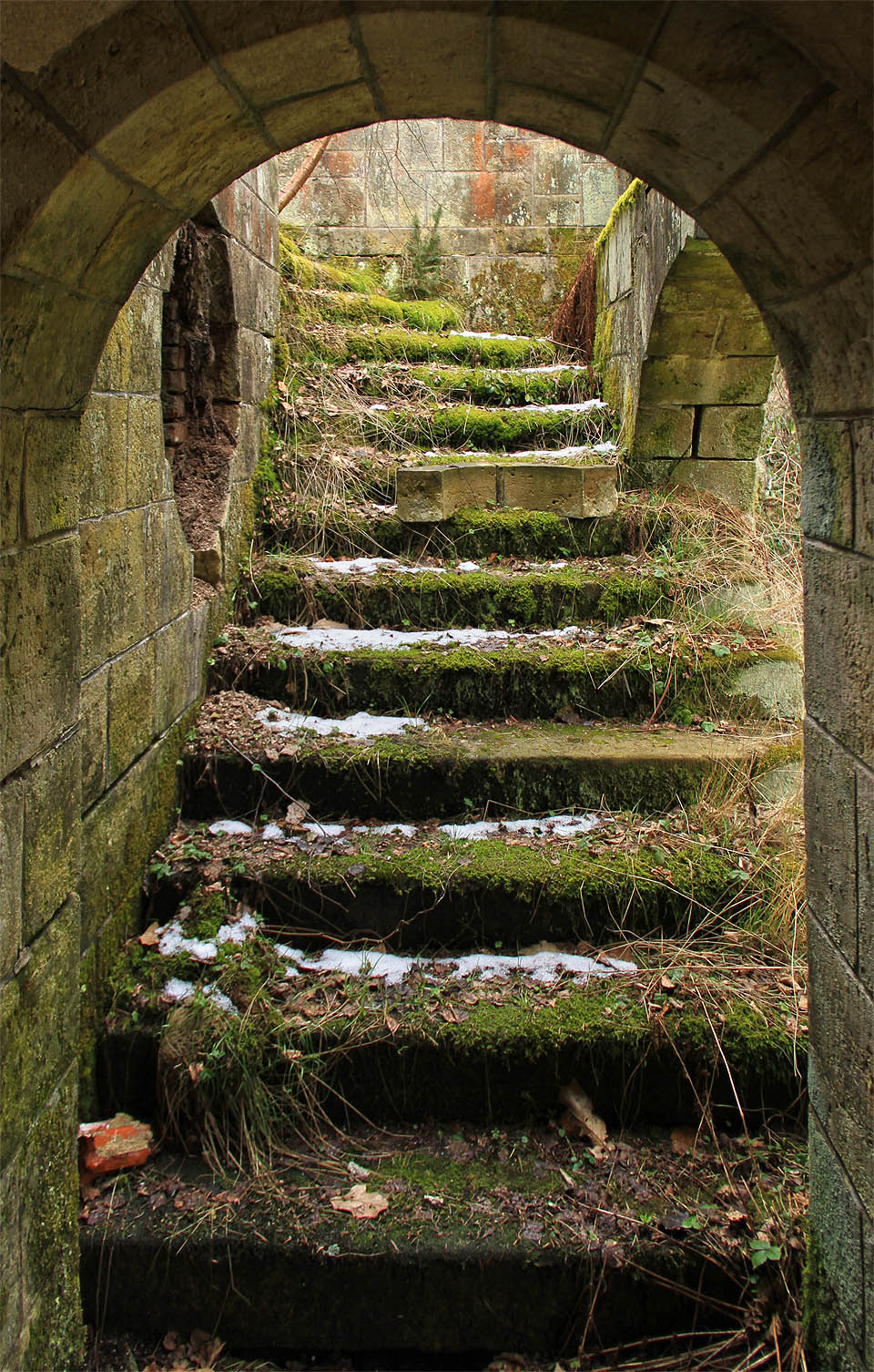 Sklepní schodiště se rozhodlo, že se změní v lapidárium sebe sama.
