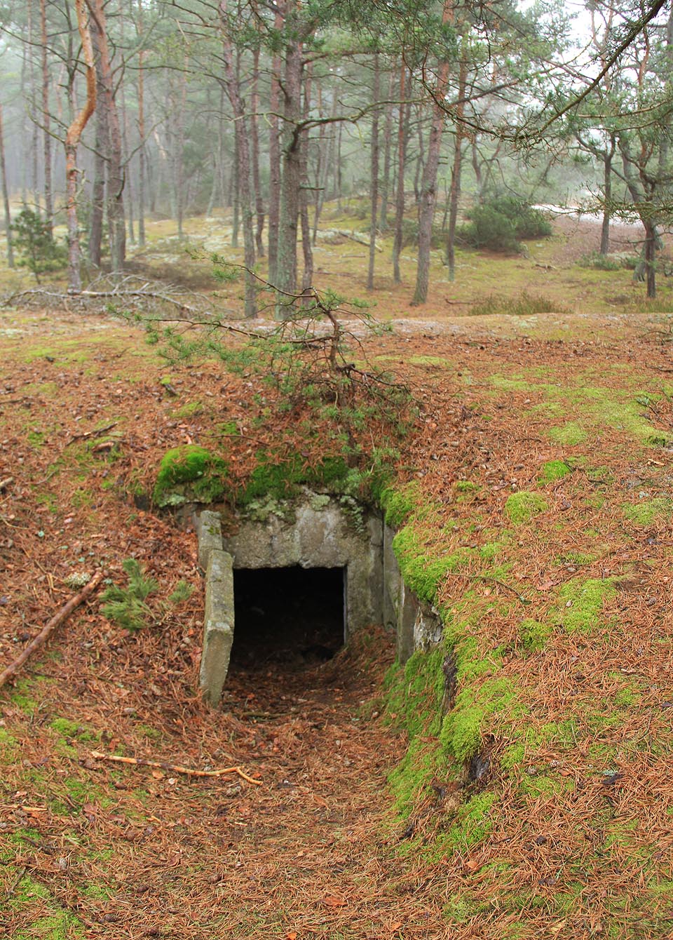 Vstupy do podzemí na Helu číhají i na zdánlivě nepravděpodobných místech. Zákopy jsou ovšem poměrně chatrné.