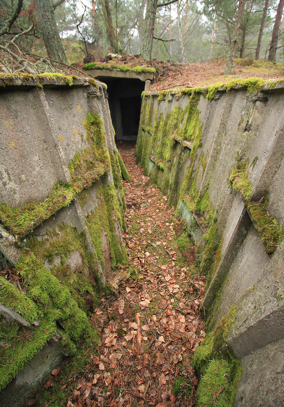 Přesto zůstala část stavebnicovým systémem zpevněných zákopů i po padesáti letech v dobrém stavu.