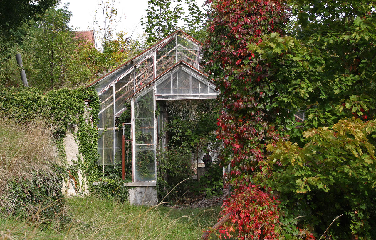 Nejvyšší skleník je krytý sedlovou prosklenou střechou na prutové konstrukci z ocele.
