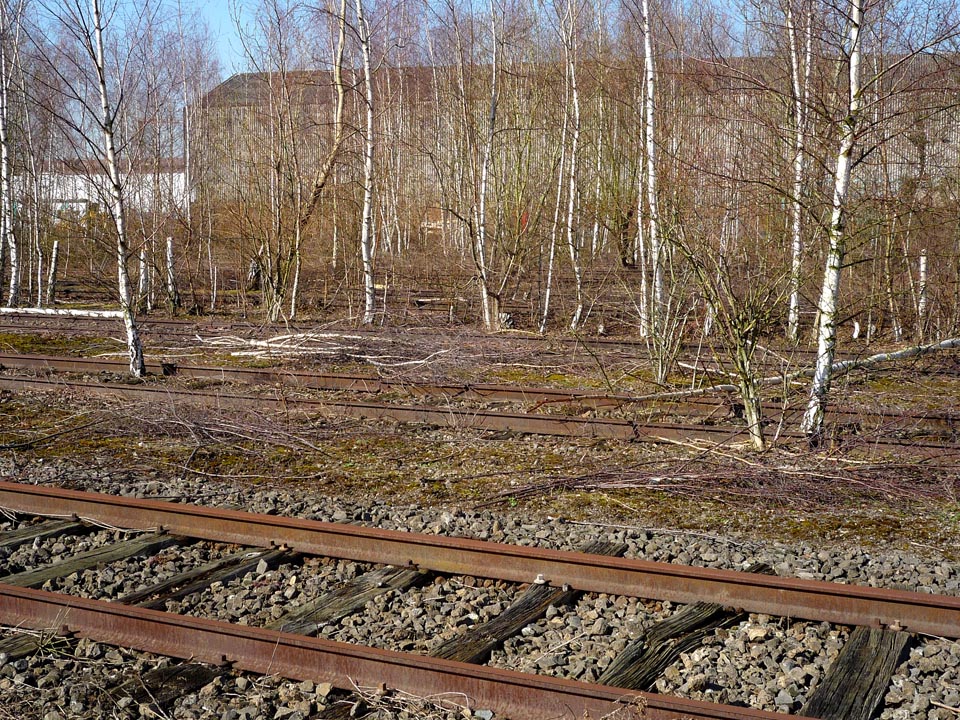 Opuštěná přechodová stanice ve francouzském Quiévrechainu na hranicích s Belgií. Přesto, že se na obou stranách hranice mluví stejným jazykem a kontroly neexistují, bylo několik km mezinárodní trati zrušeno.